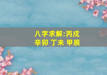 八字求解:丙戍 辛卯 丁未 甲辰